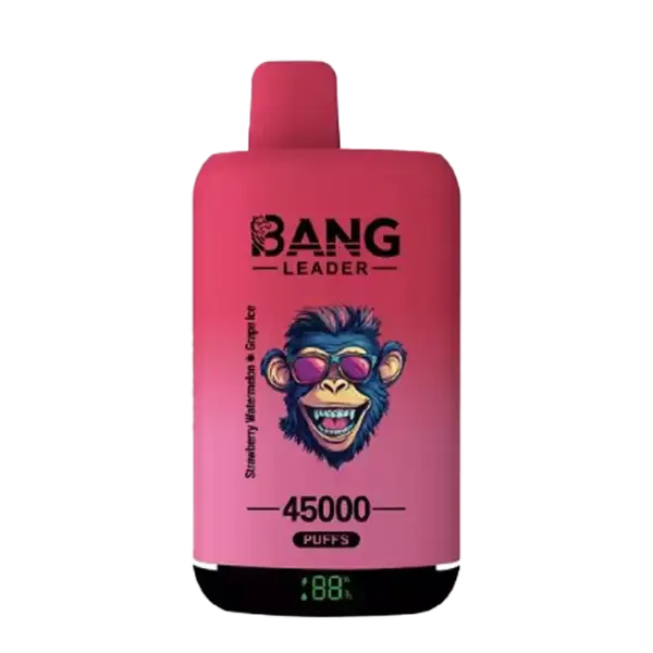 Bang Leader 45000 Puffs – Disposable Vape