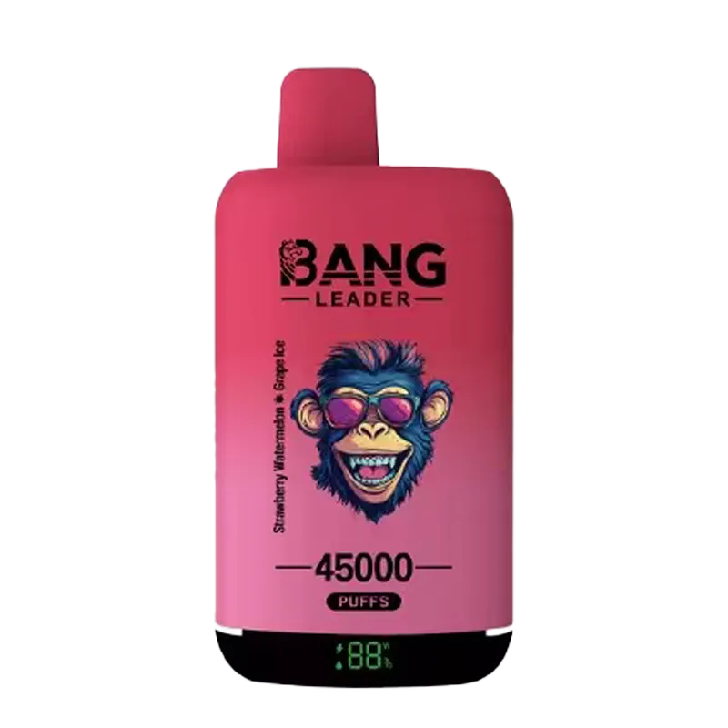 Bang Leader 45000 Puffs – Disposable Vape