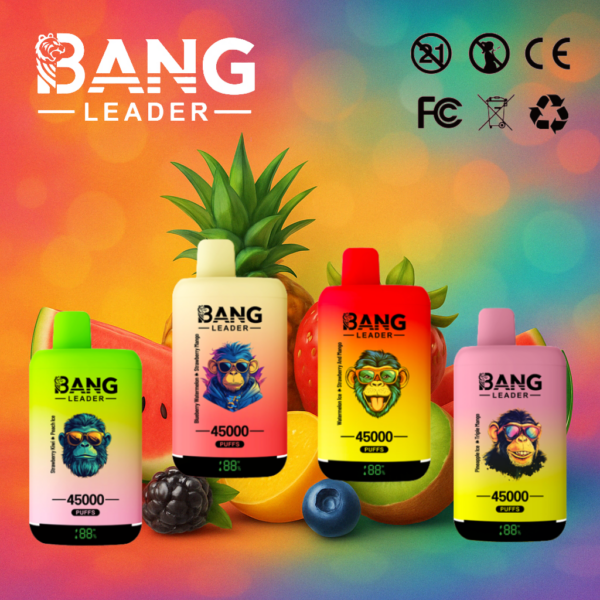 Bang Leader 45000 Puffs Vape | High-Capacity Disposable E-Cigarette with 650mAh Battery
