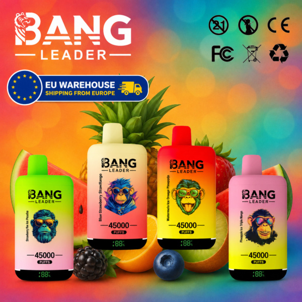 Bang Leader 45000 Puffs Vape | High-Capacity Disposable (EU Warehouse)