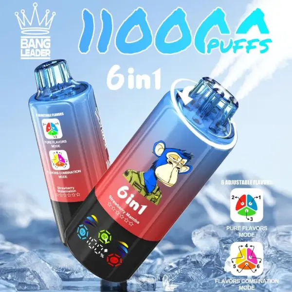 BANG LEADER 110000 Puffs Disposable Vape 6 in 1 Flavors